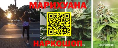 PSILOCYBIN Заводоуковск