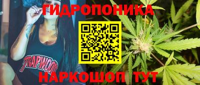spice Жуковский